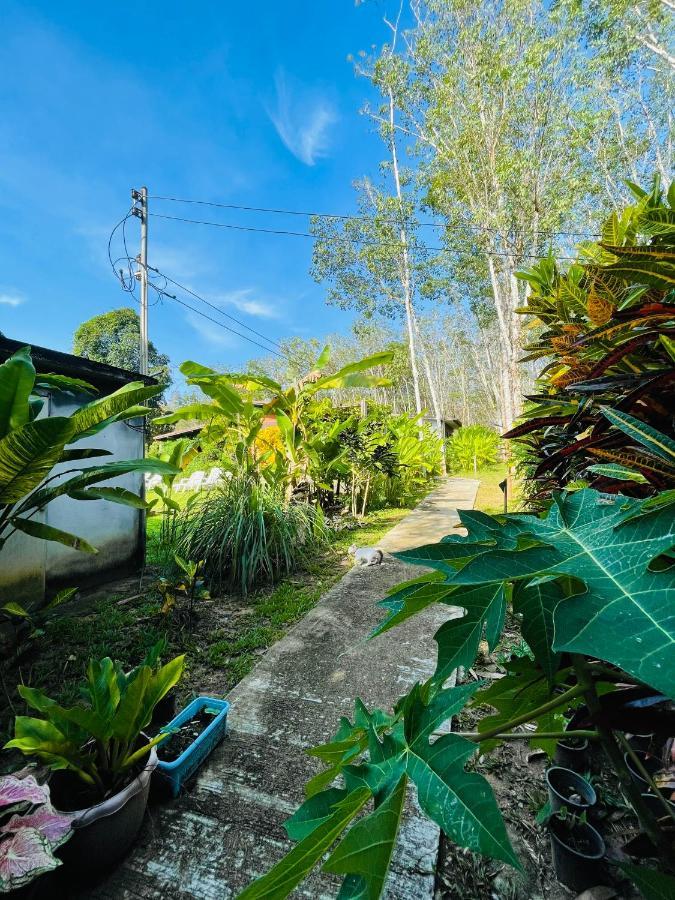 Lok Mun Bungalows 코야오노이 외부 사진